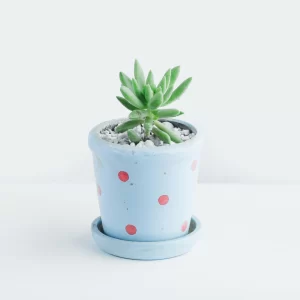 Coffee Cup